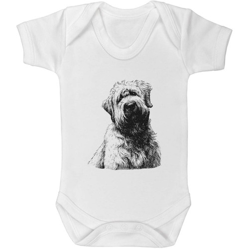 Soft coated wheaten terrier - coated,