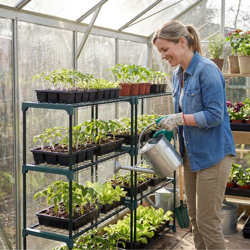 Double pack tier greenhouse - pack,