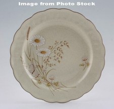 ROYAL DOULTON:   Lambethware NORFOLK Dinner Plate 27cm SECONDS x 6 - PRELOVED