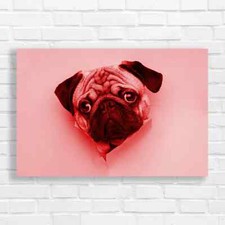Adorable Pug Puppy Red Canvas Print Large Picture Wall Art
