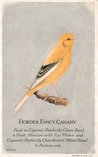 CAPERNS SEED MIX - BORDER FANCY CANARY - PLAIN BACK POSTCARD