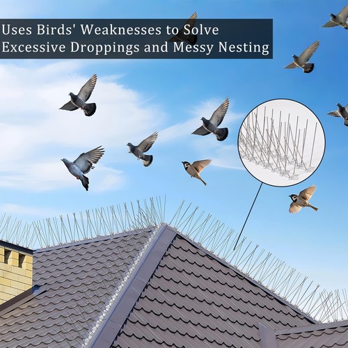 Pigeon spikes for - spikes, and