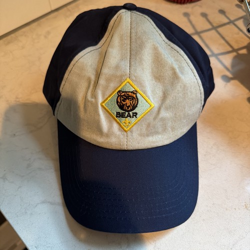 Bear cub scout youth - bear,