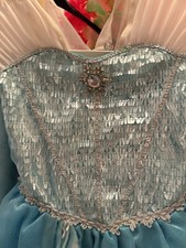 Anna And Elsa Disney store fancy dresses