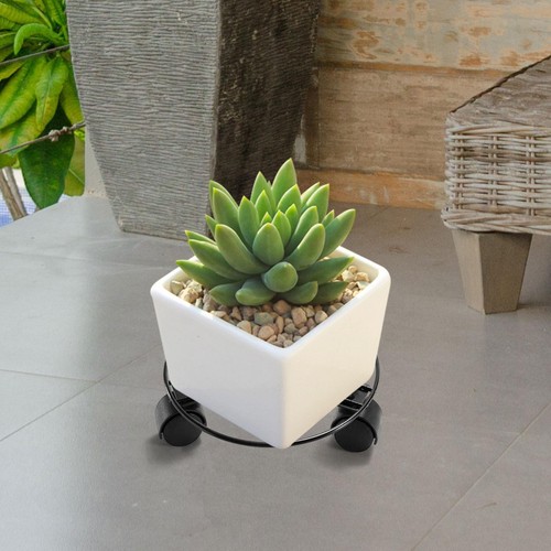 Round potted plant - potted, mover