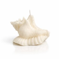 Large Conch Detailed Sea Shell