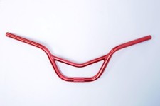 OLD SCHOOL BMX RALEIGH BURNER