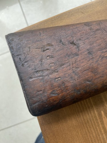 Steyr mannlicher 1886 stock - steyr,