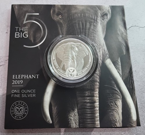 2019 south africa big - 2019,