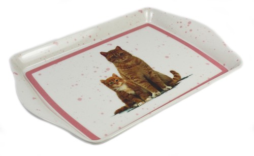 Cat kitten melamine snack - cat,