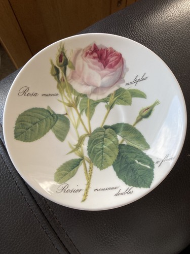 Roy kirkham redoute rose - kirkham, 'redoute
