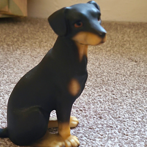 Black tan dog - black, &