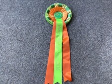  2016 Horse Of The Year Show Rosette 