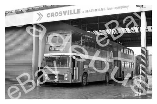 Bus photograph crosville nbc - bus,