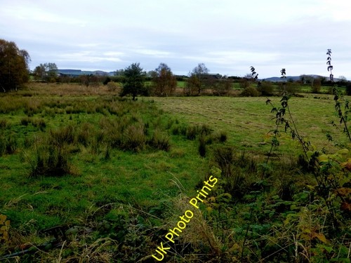 Photo 6x4 rushy - rushy, ground,