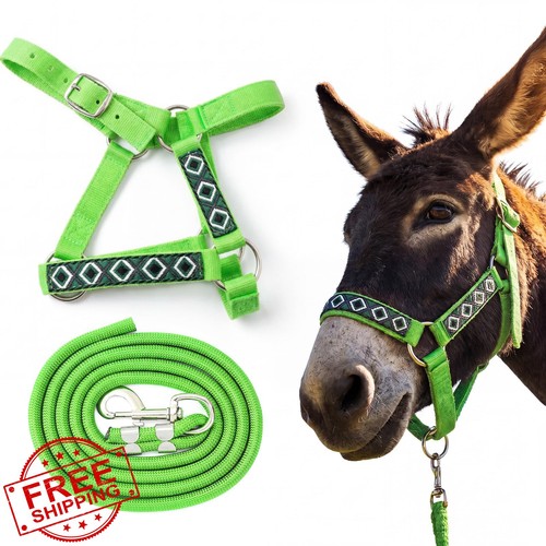 Miniature donkey halter set - donkey,