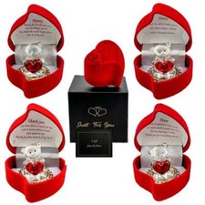 Christmas Gifts Ornament Valentine Anniversary Birthday Xmas Teddy Bear Present