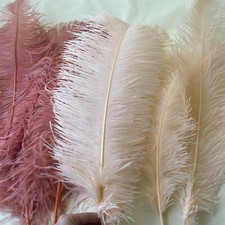 60cm long quality ostrich - 55-60cm,