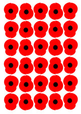 X30 Poppy Remembrance vinyl  stickersdecal craft diy Lest We Forget car home 