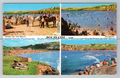 R790793 polzeath looking - r790793,
