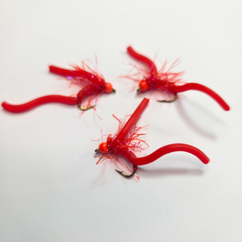 Red squirmy worm fly - x,