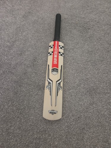 Gray nicolls signed cricket - gray,