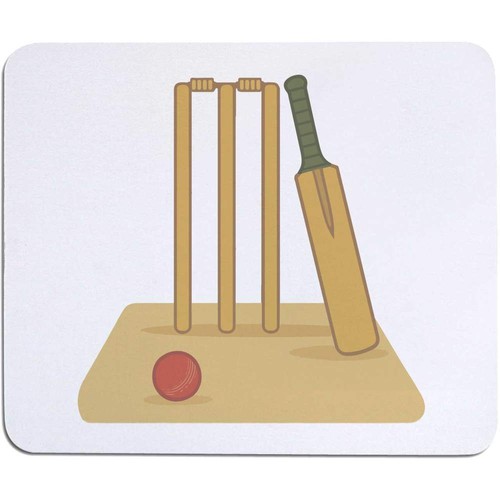 Cricket pitch essentials - pitch, essentials'