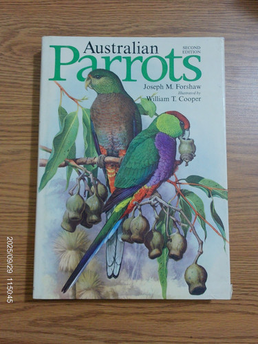 Australian parrots joseph - by,