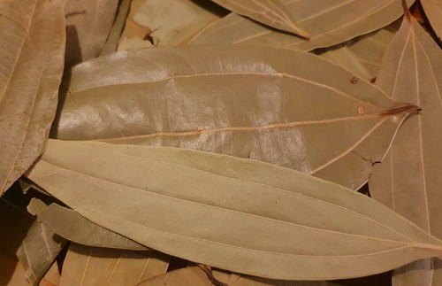 Tej patta leaves - tej,