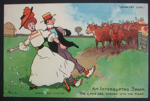 Tom browne comic - country, life
