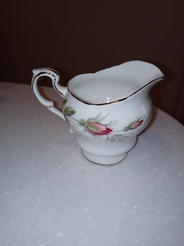 Paragon bridal rose - bridal,