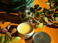 Vegan Perfume Solids Choose