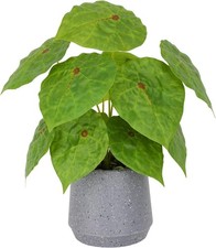 Artificial House Plant in Pot