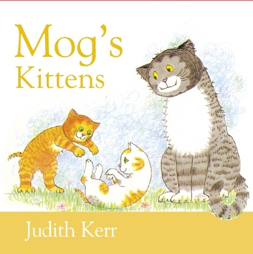 Mog kittens collins - (collins, &