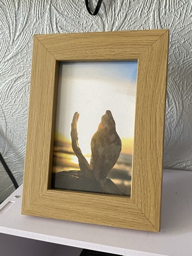 Beautiful sea shell sunset - sea,