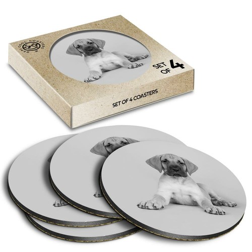 Boxed round coasters bw - round,