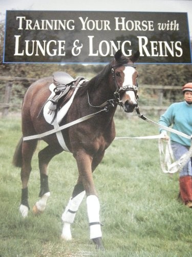 Training your horse - horse, lunge