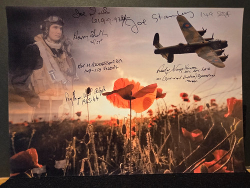 Stunning photo poppies air - stunning, poppies,