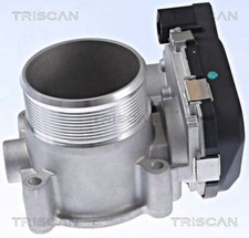 Throttle body triscan fits - triscan,