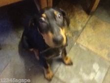 SELECT ANY 4 DIFFERENT FABRICS