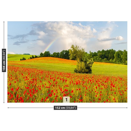 Non woven wall - mural, photo