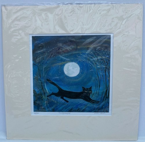 Twighlight limited edition - twighlight,