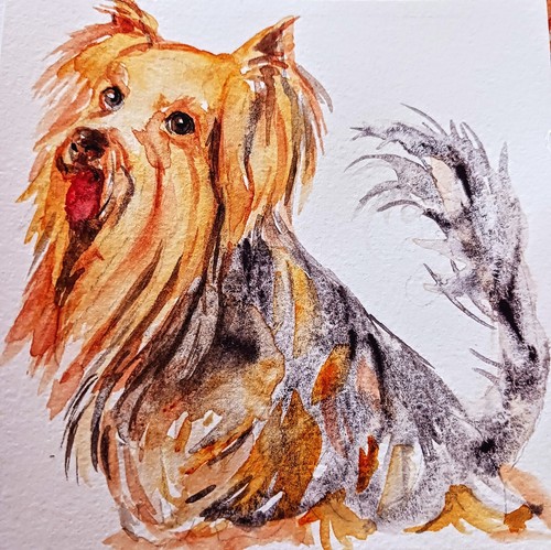 Yorkshire terrier dog art - yorkshire,