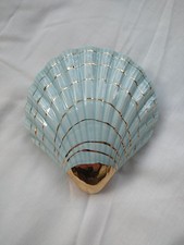 Vintage Shell Wall Posy Vase