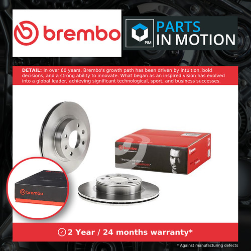 Brake discs pair - 2x,