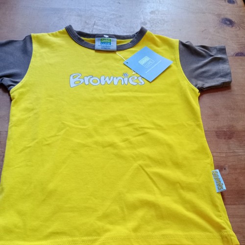 Official girlguiding brownies - girlguiding,