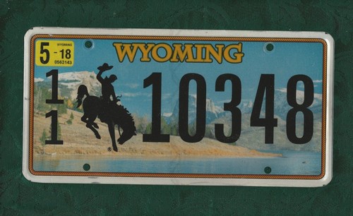 10348 wyoming american - 11-10348,