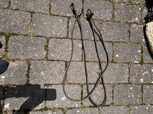 Bungee elastic lunging - bungee,