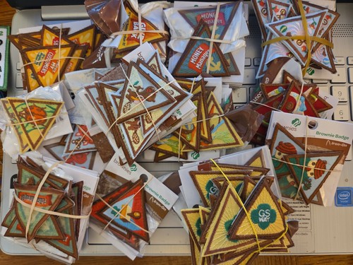 Girl scouts brownie - girl, scouts=brownie