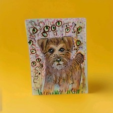 Border Terrier